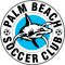 Palm Beach Sharks logo