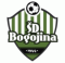 SD Bogojina logo