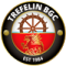 Trefelin logo