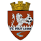 FC Prut Leova logo