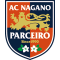 Nagano logo