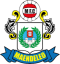 Maendeleo FC logo