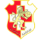 Naxxar Lions logo