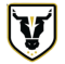 Bulls Academy U20 logo