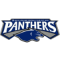 South Adelaide Panthers Reserves logo