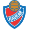 Haukar U19 logo