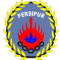 Persipur Purwodadi logo