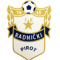 Radnicki Pirot U19 logo