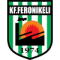 FC Feronikeli 74 logo