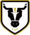 Bulls Academy (W) logo