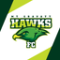 Mount Gravatt Hawks (w) logo