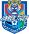 Tianjin Jinmen Tiger U21 logo