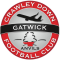 Crawley Down Gatwick logo