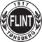 Flint logo