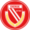 Energie Cottbus logo