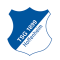 Hoffenheim U17 logo