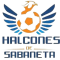 Halcones de Sabaneta logo