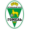 FC Gomel logo