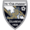 CSK Pivara Celarevo logo