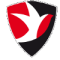 Cheltenham Town(w) logo