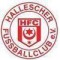 Hallescher FC U17 logo