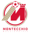 Montecchio Maggiore logo