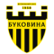 Bukovyna logo