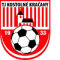 Kostolne logo