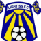 Light SS FC logo