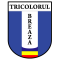 Tricolorul Breaza logo