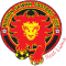 Nakhon Sawan U19 logo