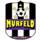 USV Murfeld Sud logo