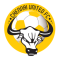 Chennai United FC logo