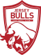 Jersey Bulls logo