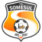 FC Somesul Dej logo