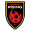 Phoenix Rising logo