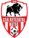 CSO Retezatul Hateg logo