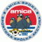 Amica Wronki logo