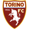 Torino logo