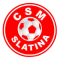 CSM Slatina logo