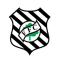 Figueirense SC U20 logo