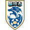 Shijiazhuang Tiqiuzhe FC logo