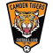 Camden Tigers U20 logo