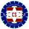 CS Puertollano logo