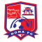 Dong Nai U21 logo