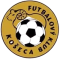 FK Koseca logo