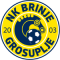 Brinje Grosuplje U19 logo