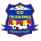 CSO Teleajenul Valeni de Munte logo