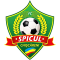 Spicul Chiscareni logo