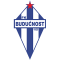 Buducnost Podgorica(w) logo